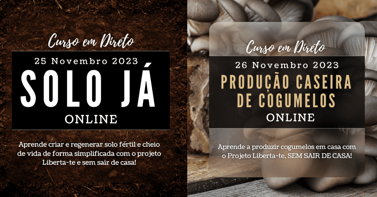 Pacote Solo Já e Produção Caseira de Cogumelos Novembro 2023