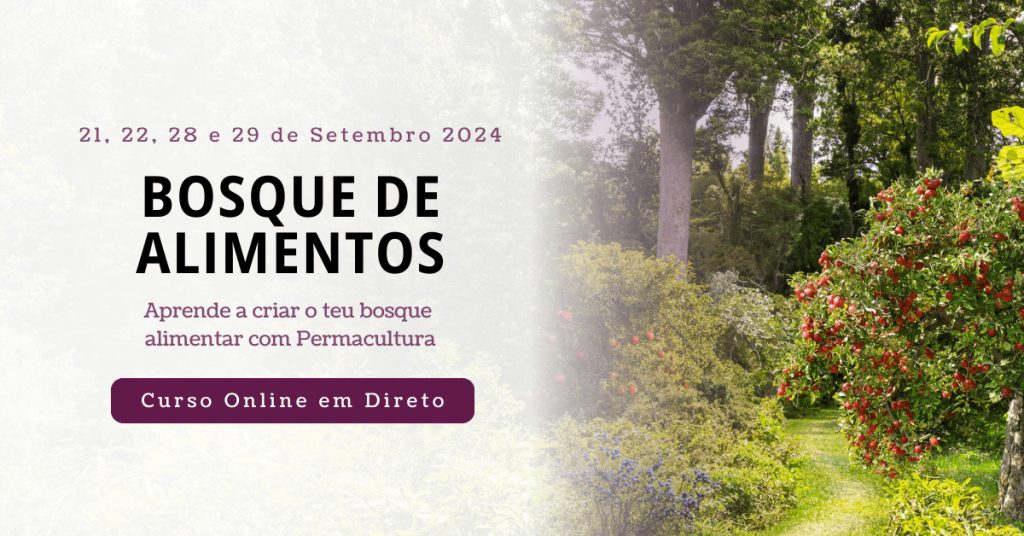 Curso Online em Directo de Bosque de Alimentos