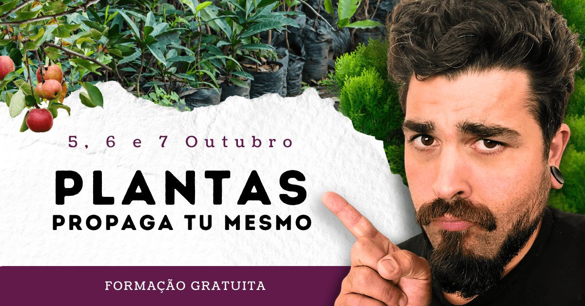 Hora Liberta-te: “Plantas: propaga tu mesmo”